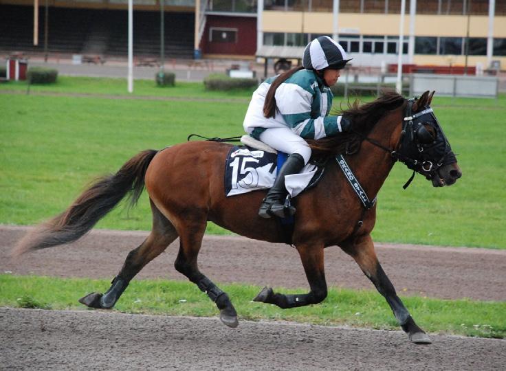 08, Monterekord :16,9 Visad med upp till p med BIS, Reserv BIS, BIM och ingstchampion på utställning.