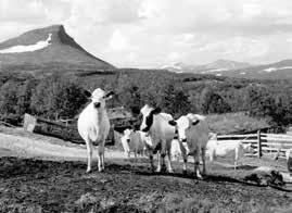 Fjällnära jordbruk Cirka nio kilometer söder om Ramundberget ligger Bruksvallarna. I detta område var det aktiva jordbruket som mest utbrett för hundra år sedan.