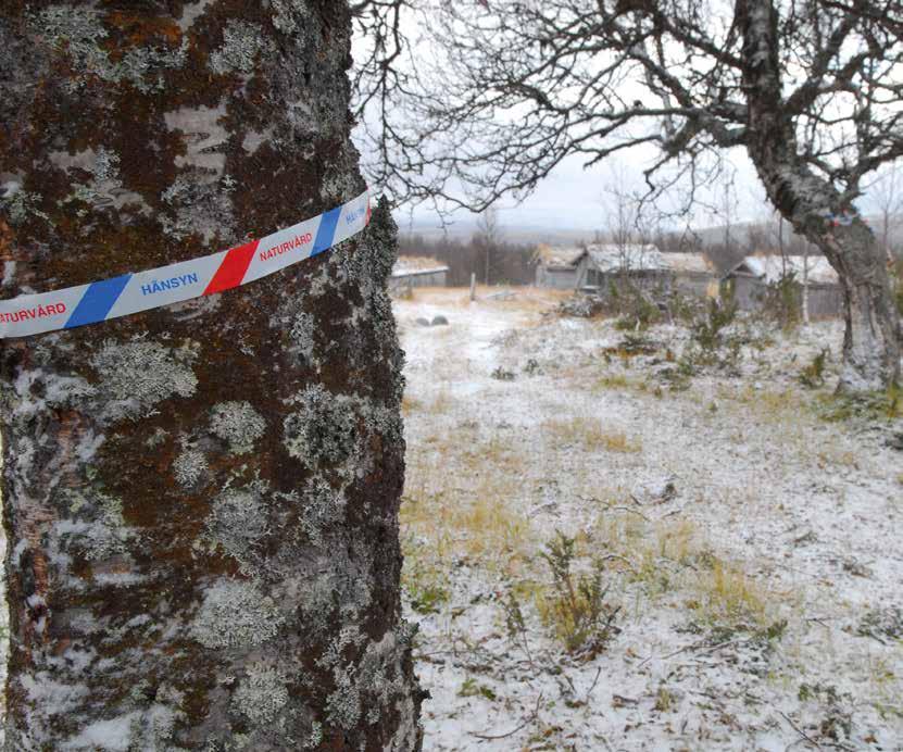 Projektet och åtgärderna Foder & fägring är ett länsstyrelseägt projekt som