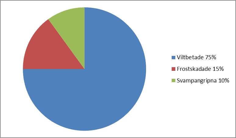 Figur 3. Skadeorsaker på ädellövsplantorna i procentandelar. 3.1.2 0-ytor, amträdsplantor och barrplantor På 52 % av planteringarna innehöll samtliga provytor ädellöv (Bilaga 4).