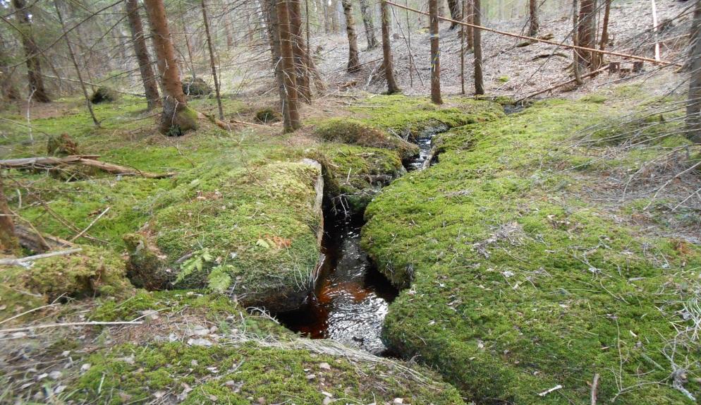 SKOGSMÄSTARPROGRAMMET Examensarbete 2016:26 Uppföljning av utfört arbete i kantzon mot