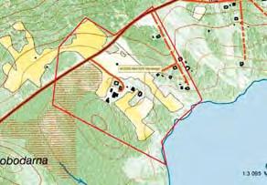 Då åkte vi runt på gamla hackslåttängar i Medelpad och på brunkullaängar i Jämtland och fann 52 olika arter inom släktet Entoloma, varav 10 arter var helt nya för Sverige!