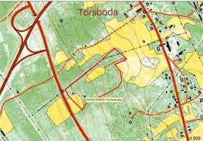 Den tillhörer en grupp svampe som trives i de varme torre somre og kolde vintre, som kendetegner det kontinentala europeiska klima, og som derfor har hovedudbredelsen öst for Danmark.