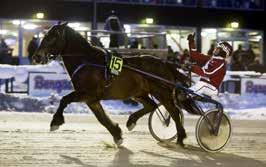 STAMPING - EN OTROLIG SAGA Sagan om kallblodet Stamping tog slut åtminstone på tävlingsbanan - i december 015.