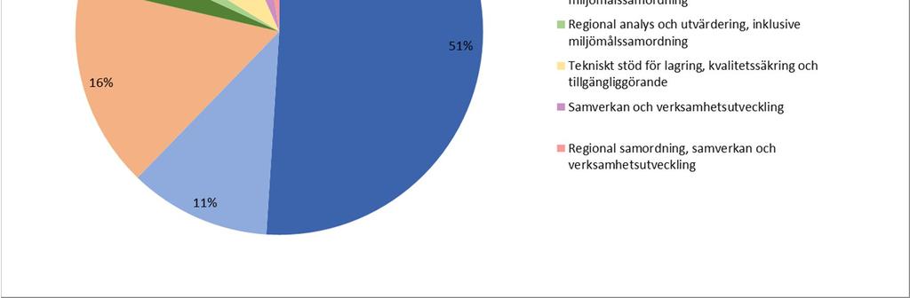 Möjligheten till medfinansiering är mycket värdefull i utvecklingsskeden men skapar svårigheter då utvecklingen är slutförd och verksamheten ska övergå till löpande förvaltning.