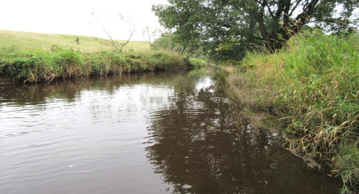 Bottenfauna i Bäljaneå 2015 Vattensystem: Vattendrag/namn: Provpunktsbeteckning: RÖNNE Å Bäljaneå RO-B1001 Provdatum: Lokaltyp: Å 2015-10-05 Naturligt/grävt: naturligt Koordinater x: Läge 6227000 y: