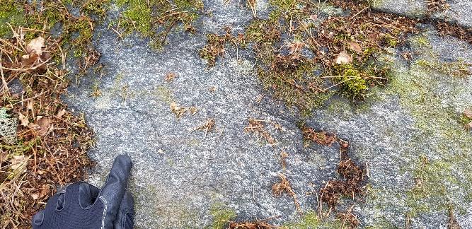 Uppdragsnr: 105 25 37 Version: PM Geo A B Figur 5 Berghäll A och B ligger öster respektive söder om området.
