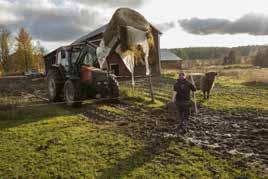 Jordbruk, skogsbruk och andra platsbundna näringar De platsbundna näringarna jord- och skogsbruk är en central del av Umeås näringsliv och bidrar till lokal livsmedelproduktion, en stark regional