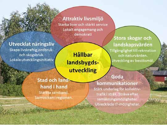 3.2 Vad anger översiktsplanen generellt om Umeå landsbygd? Varje kommun ska ha en översiktsplan som anger kommunens långsiktiga mark- och vattenanvändning.