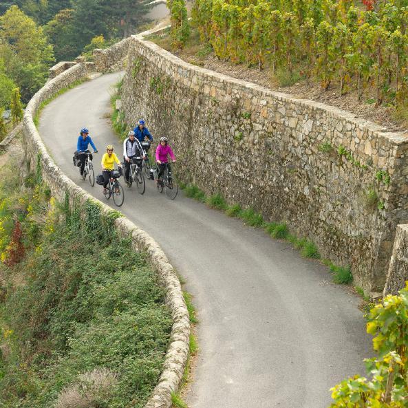 46 AUVERGNE-RHÔNE-ALPES - FÖR LIVSNJUTAREN Frankrike är känt för sitt goda hantverk i den rika ostoch vintraditionen, och regionen Auvergne-Rhône- Alpes är inget undantag.