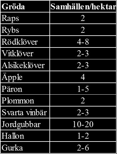 Honungsbiet besöker gärna ett rapsfält medan jordgubbarnas attraktionskraft är låg (Mattson & Lang, 1994, 153).