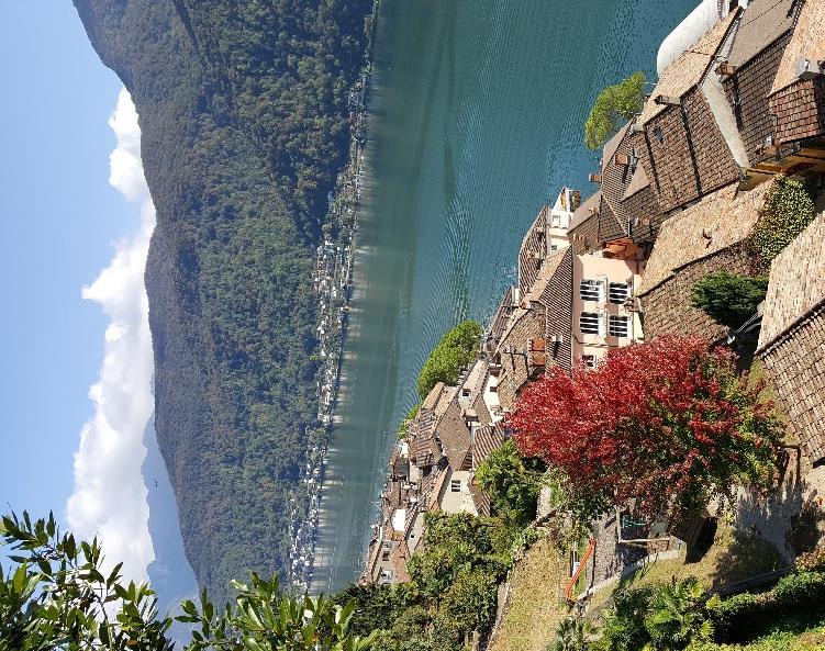 Platån är ett populärt utflyktsmål för de naturälskande schweizarna. Här finns lokala tavernor, i Schweiz kallade Grotto där du kan njuta av en bit mat innan du tar dig ner till Lugano.