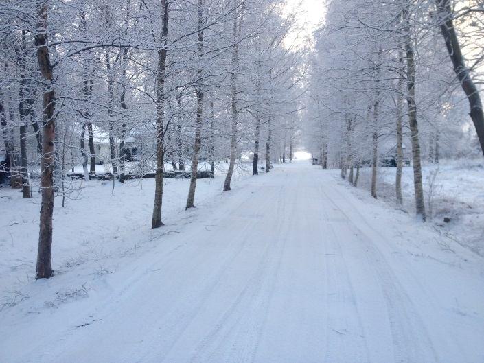 Dessutom ingår en inventering av olika naturtyper för området. Naturinventeringen har gjorts sommaren 2012 av FM biolog Mattias Kanckos från Essnature (bilaga 3).