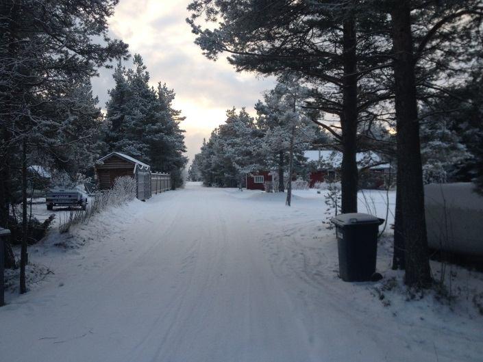 Vy längs Nabbskatavägen. Bild 6.