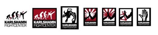Verksamhetsberättelse Karlshamn Fightcenter 2016.