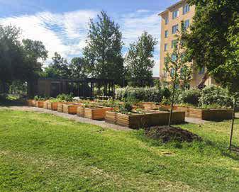 Vi sköter 7 400 m 2 perenna blomsterplanteringar, 950 m 2 rosrabatter, 27 000 m 2 buskage, och 131 m 2 odlingar med sommarblommor. Vi ser till att det är tryggt att leka i våra 25 lekplatser.