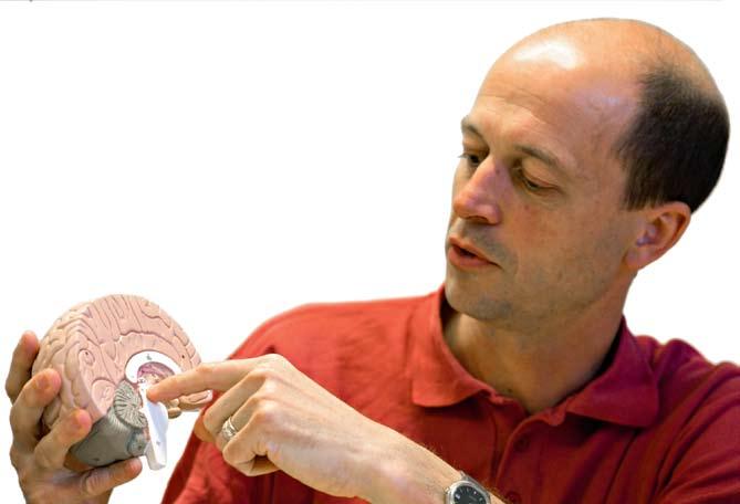 Den ökade förståelsen om hur signalsubstanser styr viktiga funktioner i människokroppen öppnar dörren för nya behandlingsformer.