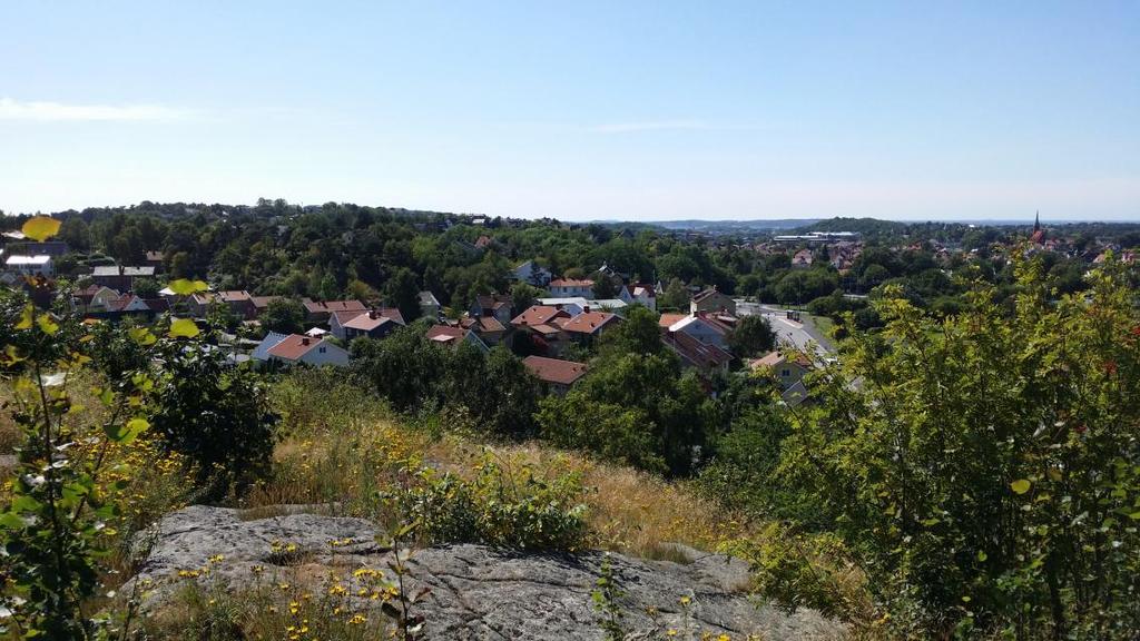 Detaljplan för Rekreationsområde vid Guldsmedsgatan