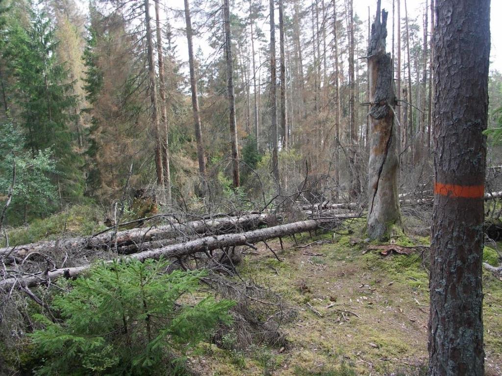 Meddelande nr 2017:23 Åtgärder