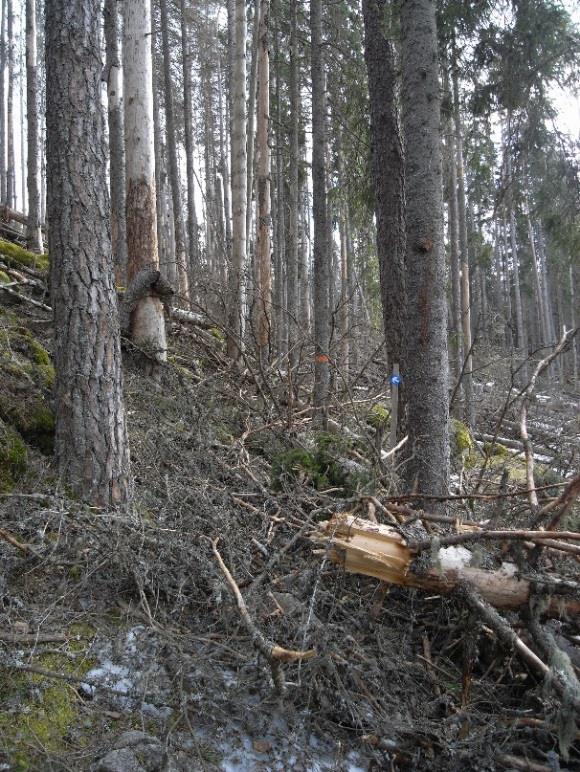 Miljöbalkens regler gäller och för de delar som även ingår i Natura2000område gäller Art och Habitatdirektivets krav.