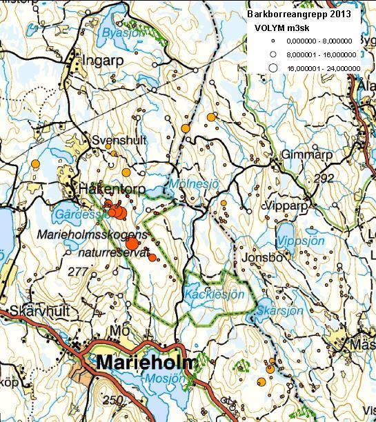 Figur 18. Under 2013 expanderade angreppen i naturreservatets norra del. Angreppet omfattade ca 900 träd varav ca 300 träd i norra delen avverkades och barkades i områden som omfattades av dispens.