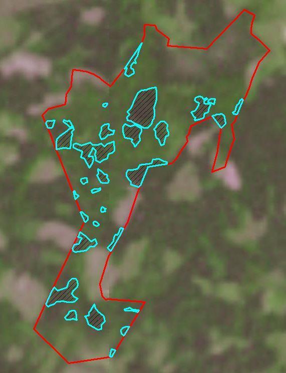 Inom området fanns före stormen 56 hektar barrskog varav 37 hektar gallrad bondeskog, Natura 2000-klassad som Västlig taiga (9010).