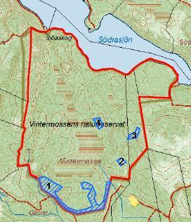 kantskog mot det angränsande hygget (Figur 31). En stormfällningsbröt upparbetades samt ett 80-tal träd avverkades. Figur 31.