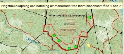Under 2009 utfördes fällning och barkning av nyangripna träd i motsvarande del (Figur 32). Drygt 100 träd fälldes och barkades med skördare.