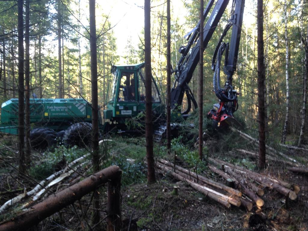 Fredrik Jacobsson Examensarbete i skogshushållning, 15 hp