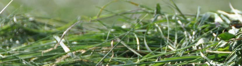 GRASS-MANAGER GRASS-MANAGER-PRO Standardutrustning, grundredskap GRASS-MANAGER Stabil ram av profilrör Seghärdade ledbultar med mässingsbussningar Harvpinnar Ø7 x 490 mm Harvpinnar av patenterat