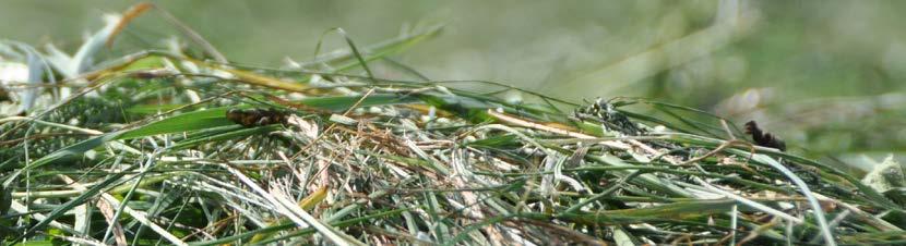 GRASS-MANAGER GRASS-MANAGER-PRO Standardutrustning, grundredskap GRASS-MANAGER-PRO Stabil ram av profilrör Härdade bussningar för både toppstång och lyftarmskoppling Kraftiga, trekantiga sladdplankor
