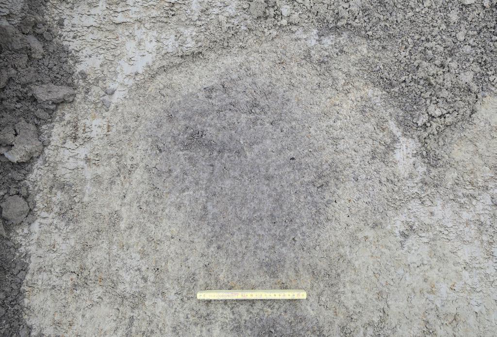 Fig 4.