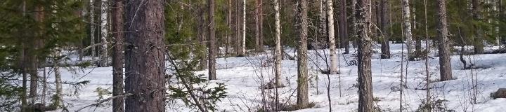 Det åligger anbudsgivare att noggrant besikta försäljningsobjektet för att därigenom förvissa sig om byggnaders skick, ägoslagsfördelning,