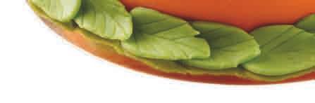 ..15 kg (6x2,5 kg) 2425...Marsipan 25/75 Orange.
