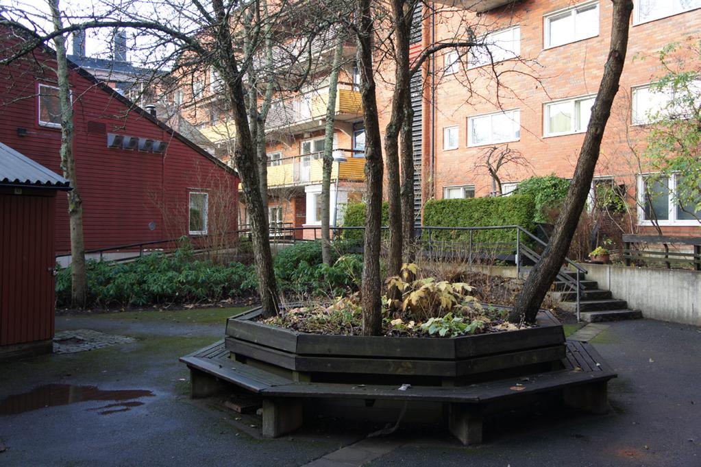 - Bevara rhododendron och träd i plantering vid trappa och komplettera övriga delar med ny växtlighet.
