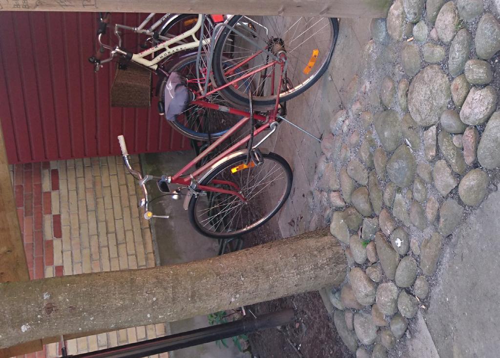 Renoveringsförslag - Område 1 Önskemål från kund: - Gör om befintliga trädsspeglar