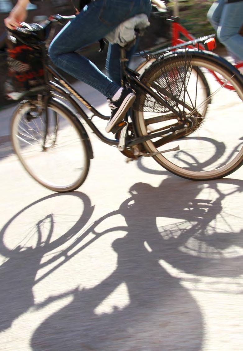 ATT UTGÅ FRÅN BRISTER Behövs cykelvägen? Finns det alternativa vägar? Kommer någon att cykla på den när den blir klar?
