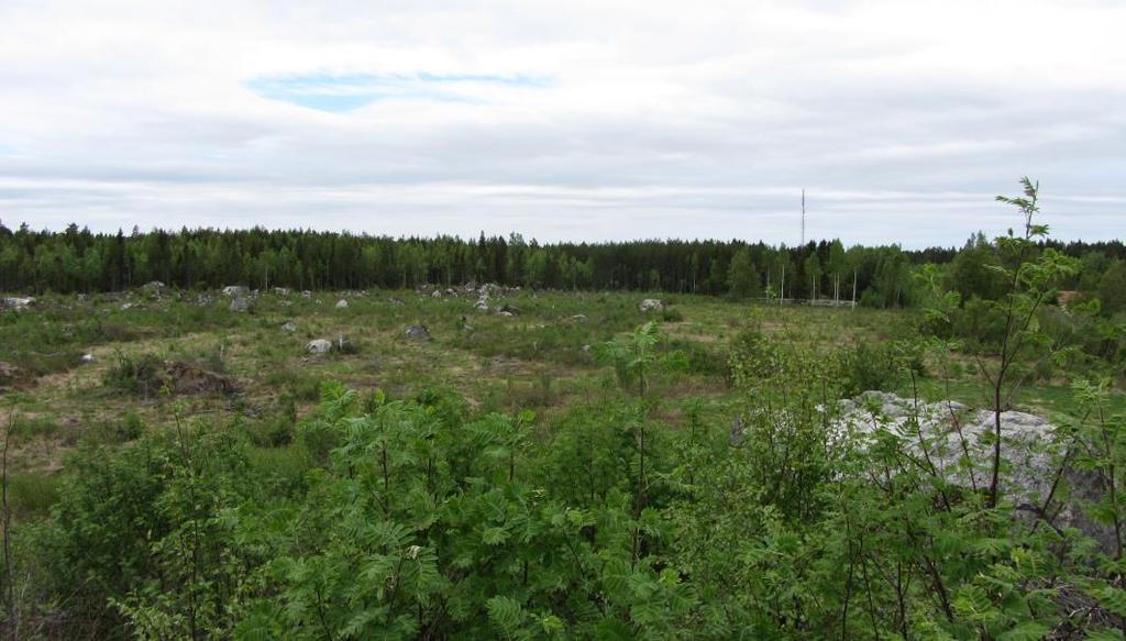 S i d a 6 Bild 4. Vy över planområdet sett från Trollkuniback intill Singsbyvägen. Bild 5. Odlad mark i planområdets östra del. 3.1.