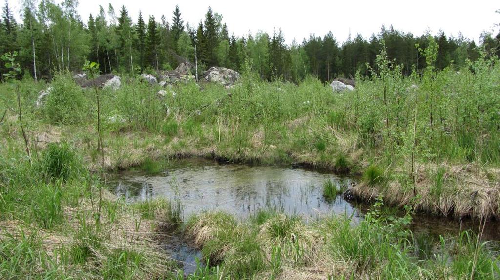 S i d a 7 En naturinventering av området har utförts under våren/ sommaren 2014.