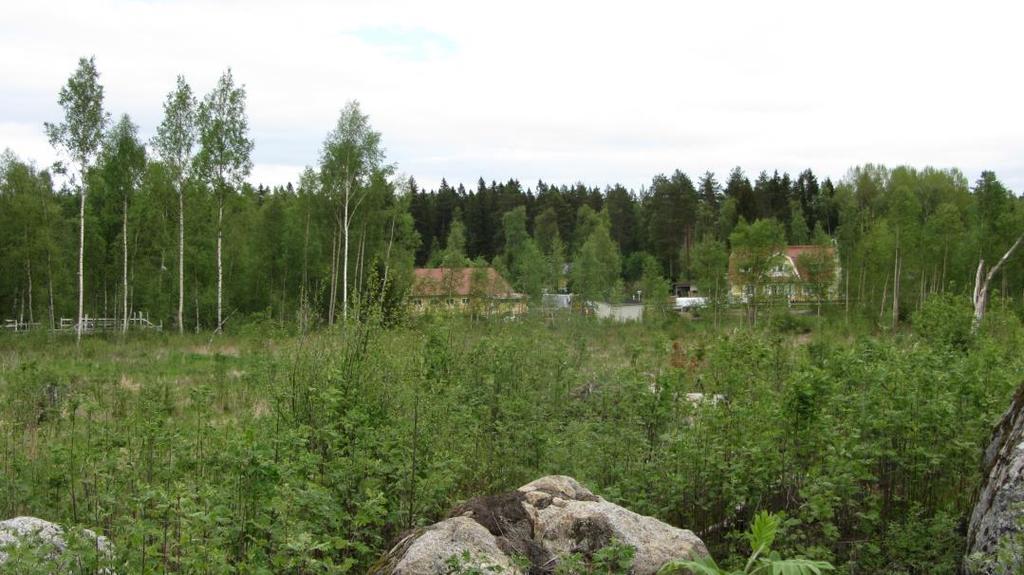 planområdets östra del.