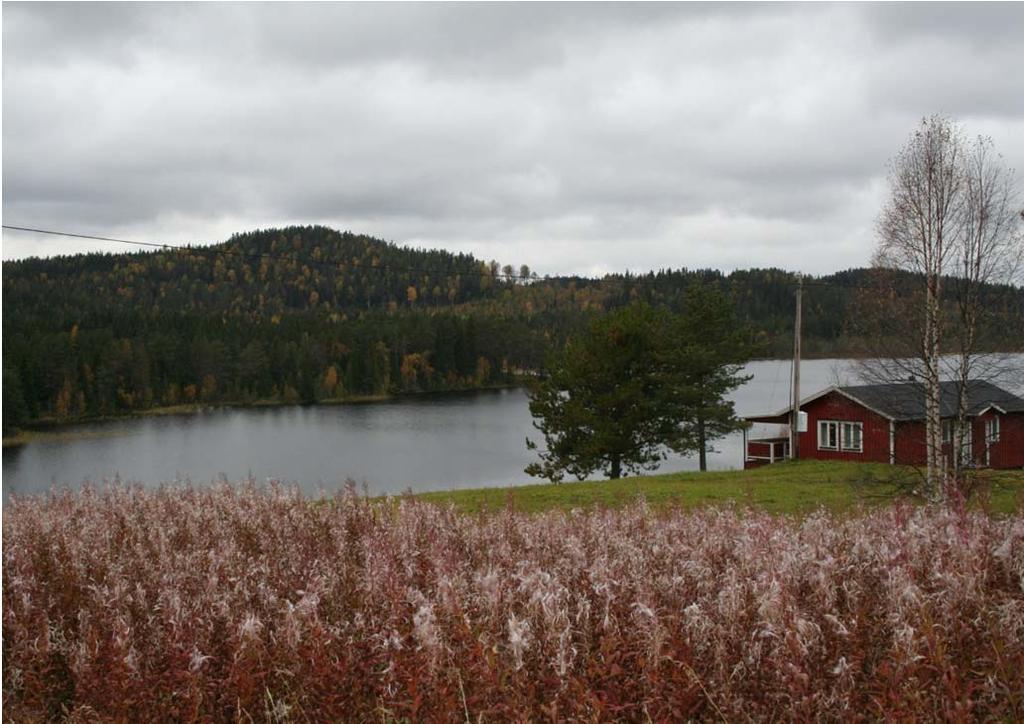 Figur 4. Utsikt mot Middagsberget från södra delen av Fullsjön. 2 Landskapets karaktär invid platsen för vindkraftparken 2.