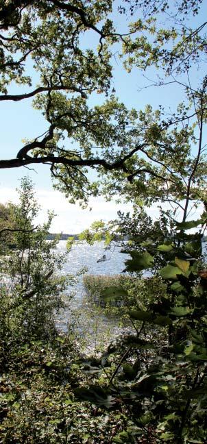 Frågor som rör till exempel arbete, försörjning och utbildning kan inte lösas av den fysiska planeringen. Stadsplaneringen kan dock verka stödjande.
