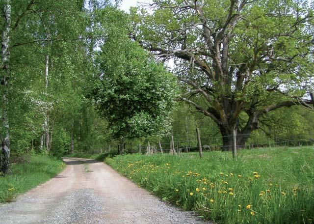 Enligt Myndigheten för samhällsskydd och beredskap föreskrift (MSBFS 2010:6) om sådana risk- och sårbarhetsanalyser som avses i 2 kap.