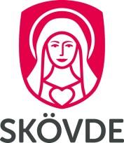 Avgifter för kopior av