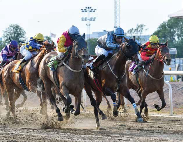 DERBYBANAN JÄGERSRO NR 18 ONSDAG 12 SEPTEMBER 2018 KL 12.20 JÄGERSRO GALOPP Åtta lopp med både V4 och V5!