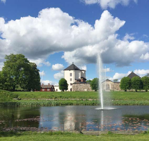 88 Det sörmländska fågelåret 2014 När kanadagåsen kom till Nyköping Ingen har väl undgått de kommunala bekymmer som finns med gäss i och på gräsmatteytor i Nyköping i närheten av hamnen?