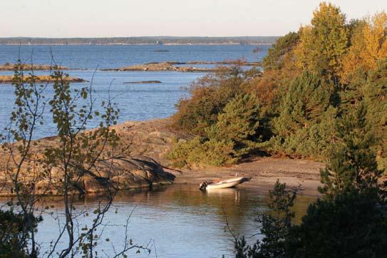 Föreningen Södermanlands Ornitologer 97 Egen båt krävs som regel för att ta sig till Askö och det gäller att hitta en skyddad vik för att lägga till som här vid Stockviken en sen septemberdag.