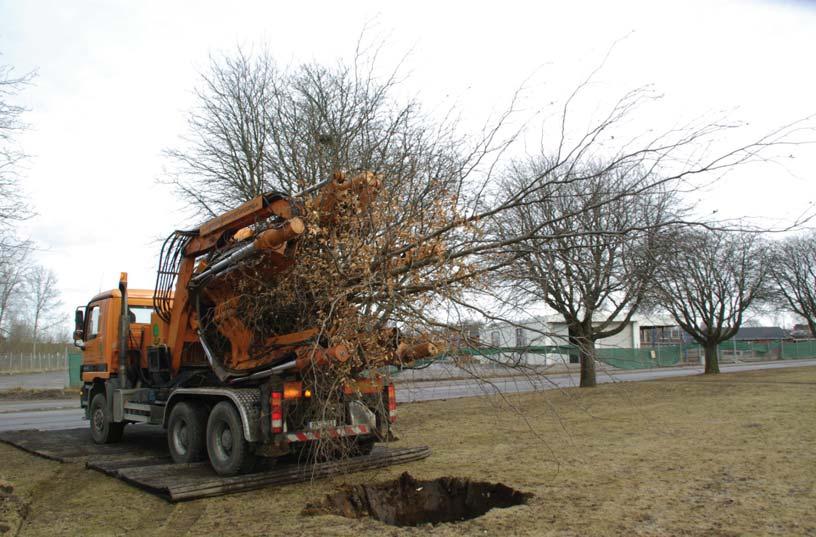Standard för skyddande av träd vid byggnation Bilaga 6 eventuell markbeläggning tas i god tid bort inom en radie på 3 meter runt trädet.