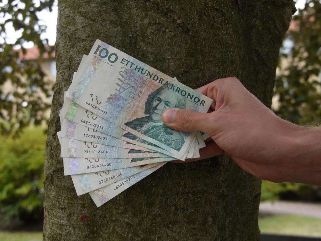 Ekonomisk värdering av återanskaffningskostnaden för träd - Alnarpsmodellen 2.