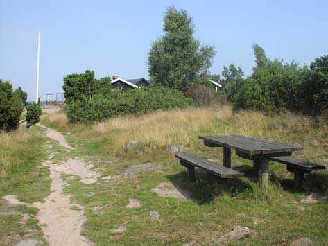 7.4 Romeleåsen (7.4.10) 1 Väderkullen -Romelestugan (2) Area: 3,5 ha Naturtyp: Igenväxande enefälad med inslag av hällmarker, F, G På Väderkullen finns rester av den stora fäladsmark som förr täckte
